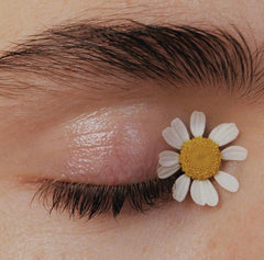 The Original Organic Eyebrow Gel - Tania Speaks Organic Skincare